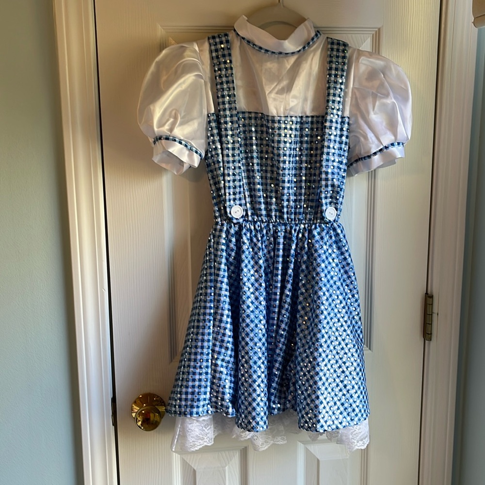 Rubies Dorothy Wizard of Oz Child Small Costume